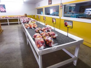 Display of apples for sale in Trumps Orchard store